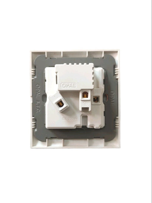 Dual USB with Multi Switch Wall Mounted Opal Rose Series