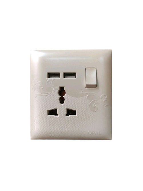 Dual USB with Multi Switch Wall Mounted Opal Rose Series